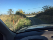 Satılır 1100 sot torpaq Qusar