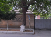 Satılır 5 otaqlı 105 m2 həyət evi Salyan