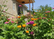 İcarəyə verilir 3 otaqlı 100 m2 bağ evi Lerik