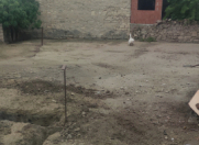 Satılır 2 sot torpaq Əhmədli