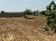 Satılır 12 sot torpaq Albalı