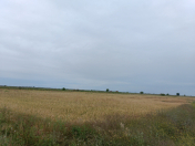 Satılır 1.83 sot torpaq Neftçala