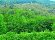 İcarəyə verilir 3 otaqlı 120 m2 həyət evi Lerik