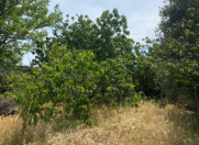 Satılır 7 otaqlı 150 m2 bağ evi Nardaran