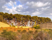 Satılır 8 sot torpaq Görədil