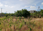 Satılır 12 sot torpaq Albalı