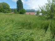 Satılır 16 sot torpaq İsmayıllı