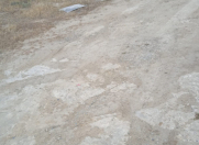 Satılır 4 sot torpaq Badamdar