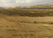 Satılır 6 sot torpaq Saray