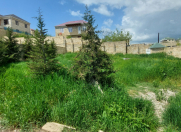 Satılır 6.42 sot torpaq Şamaxı