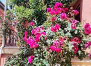 Satılır 3 otaqlı 100 m2 həyət evi Sulutəpə