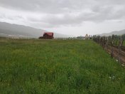 Satılır 12 sot torpaq Qusar