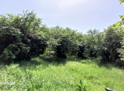 Satılır 32 sot torpaq Qəbələ