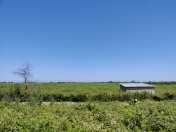 Satılır 280 sot torpaq Xaçmaz