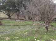 Satılır 4 sot torpaq Heydər Məscidi