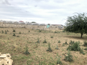 Satılır 18 sot torpaq Nardaran