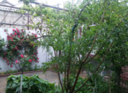 Satılır 3 otaqlı 80 m2 həyət evi Xətai r.