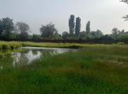 Satılır 175 sot torpaq Xudat