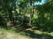 Satılır 4000 sot torpaq Xaçmaz