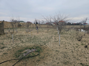 Satılır 20 sot torpaq Novxanı