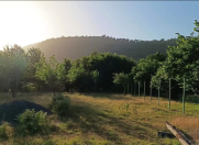 Satılır 5.6 sot torpaq Zaqatala