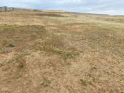 Satılır 40 sot torpaq Məhəmmədli