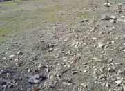 Satılır 10 sot torpaq Badamdar