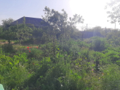 Satılır 3 sot torpaq Şamaxı