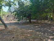 Satılır 4 sot torpaq Buzovna