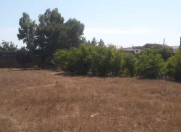 Satılır 12 sot torpaq Heydər Məscidi