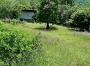 Satılır 19 sot torpaq Qax