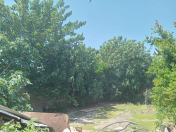 Satılır 16 sot torpaq Ələt