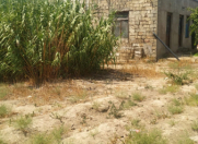 Satılır 2 otaqlı 2400 m2 bağ evi Maştağa