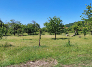 Satılır 82 sot torpaq Qəbələ