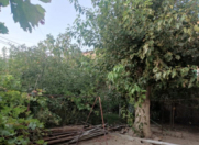 Satılır 5 otaqlı 207 m2 həyət evi Lökbatan