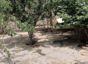 Satılır 5 otaqlı 300 m2 həyət evi Buzovna