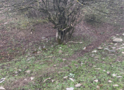 Satılır 5 sot torpaq Qax