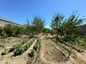 Satılır 12 sot torpaq Mərdəkan