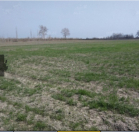 Satılır 100 sot torpaq Xudat