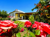 Satılır 4 otaqlı 100 m2 həyət evi Qəbələ