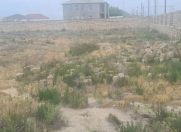 Satılır 27 sot torpaq Türkan