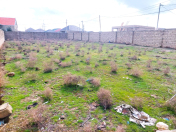Satılır 6 sot torpaq Məhəmmədli