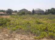 Satılır 32 sot torpaq Pirşağı