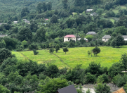 Satılır 8 sot torpaq Lənkəran