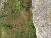 Satılır 5 sot torpaq Pirşağı