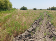 Satılır 1160 sot torpaq Kürdəmir