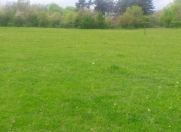 Satılır 21 sot torpaq Quba