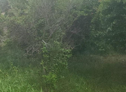 Satılır 8 sot torpaq Abşeron r.