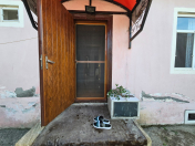 İcarəyə verilir 3 otaqlı 70 m2 bağ evi Astara