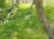 Satılır 4 sot torpaq 9 mkr